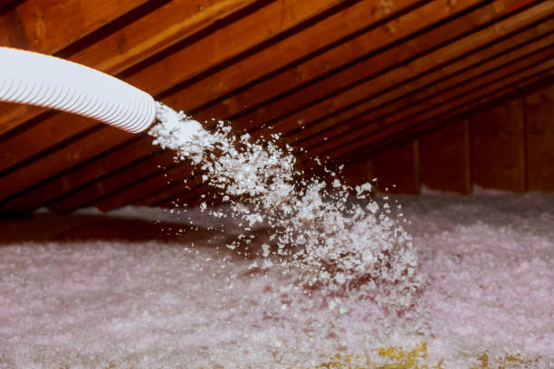 Best Insulation Inspection Services  in Paradise Valley, AZ