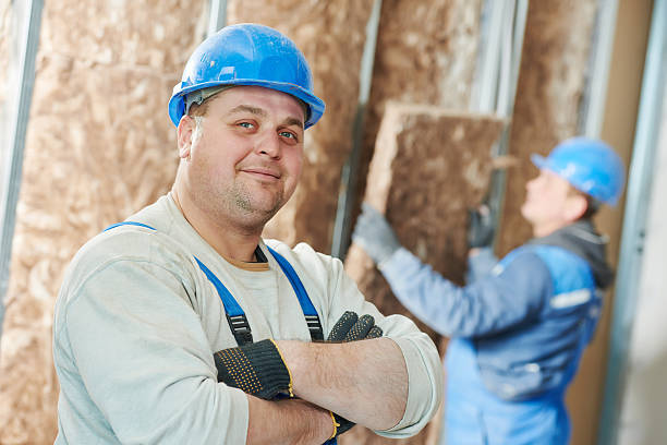Best Attic Insulation Installation  in Paradise Valley, AZ